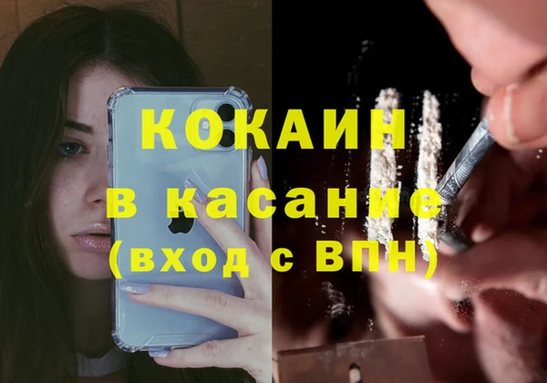 шишки Нязепетровск