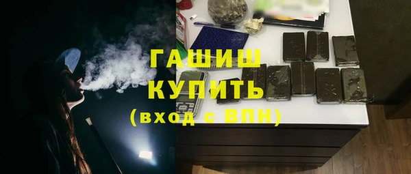 эйфоретик Няндома