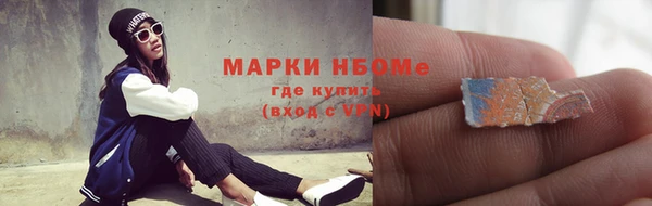 эйфоретик Няндома