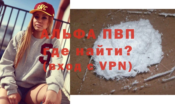 эйфоретик Няндома