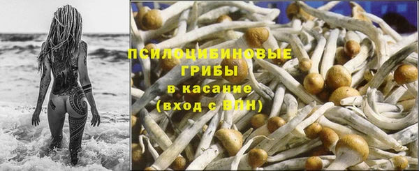 spice Нягань