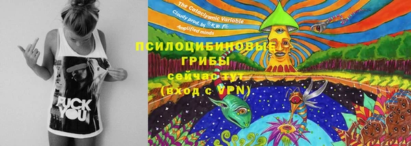 ГАЛЛЮЦИНОГЕННЫЕ ГРИБЫ Инсар