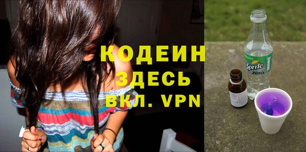 шишки Нязепетровск