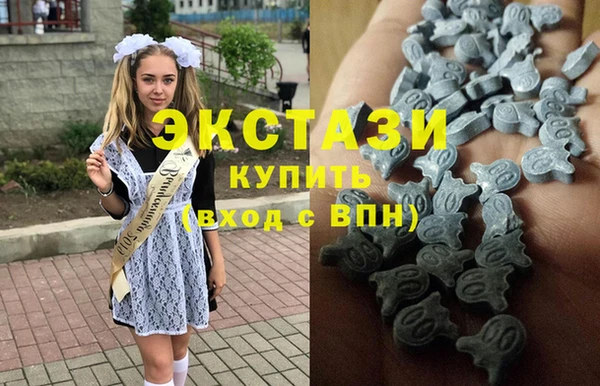 эйфоретик Няндома