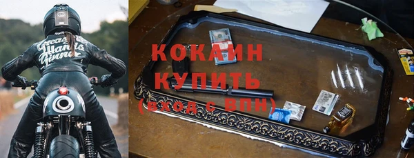 эйфоретик Няндома