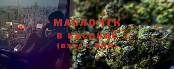 эйфоретик Няндома