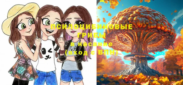 spice Нягань