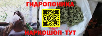 каннабис Гусев