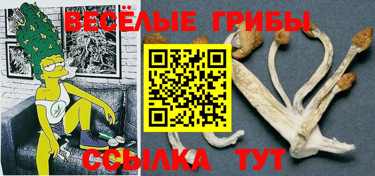 Псилоцибиновые грибы Cubensis  Вход с VPN  Галлюциногенные грибы GOLDEN TEACHER  Ливны 