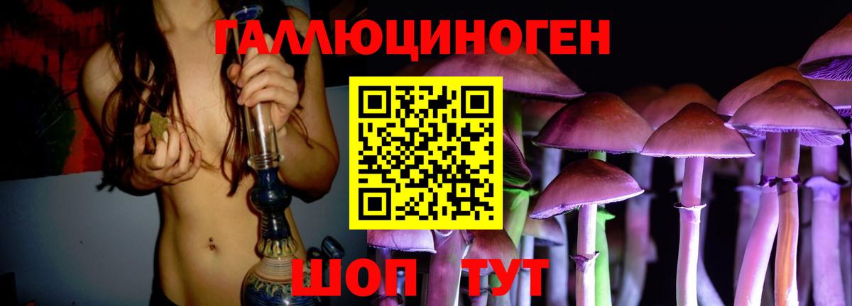 Галлюциногенные грибы Psilocybe Ливны